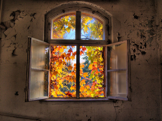401041 (a): :2048x1536